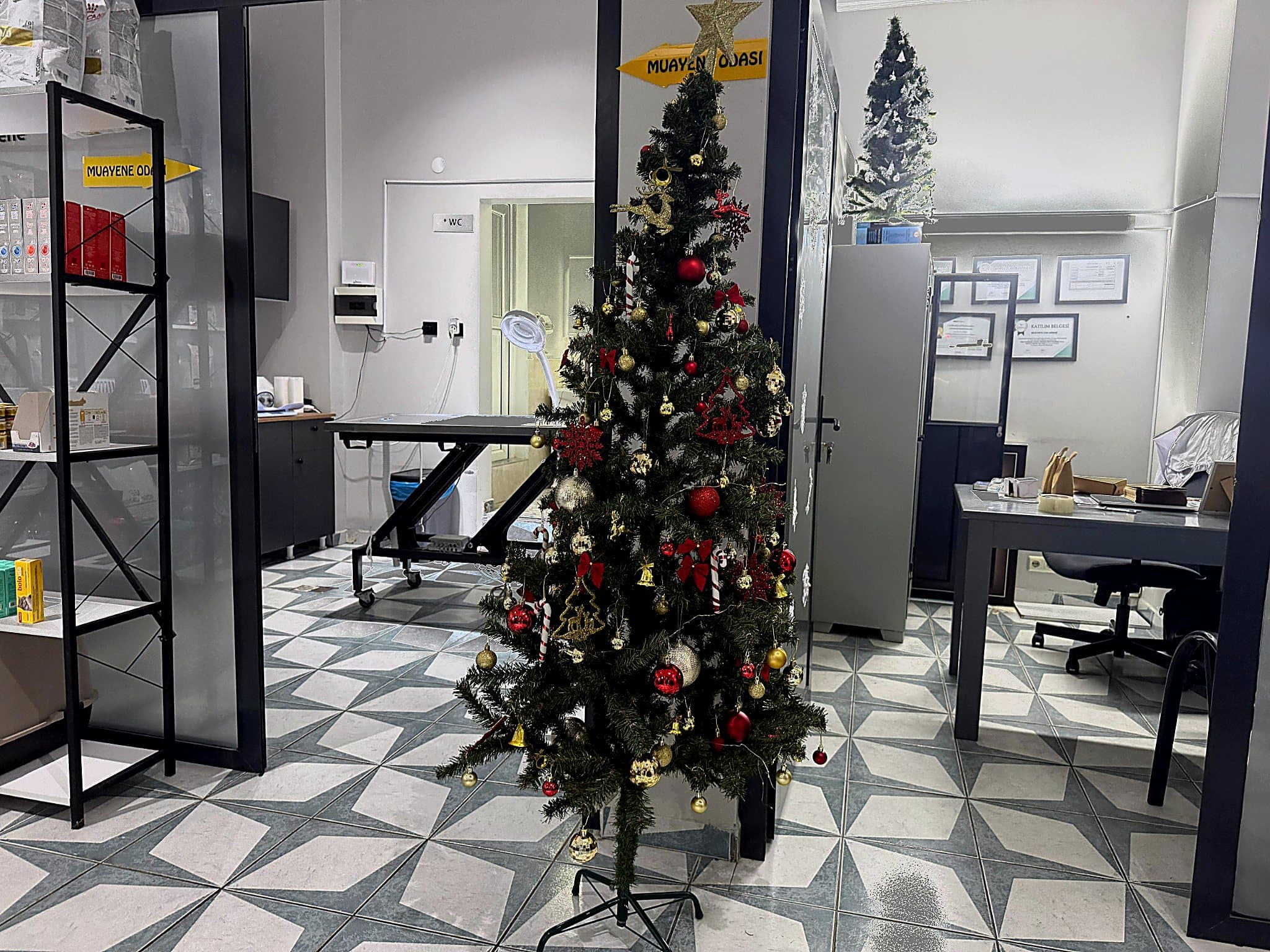 Steril Ameliyathane Veteriner Samsun