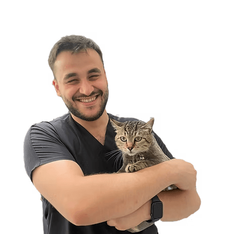 Veteriner Hekim Can Akbaş